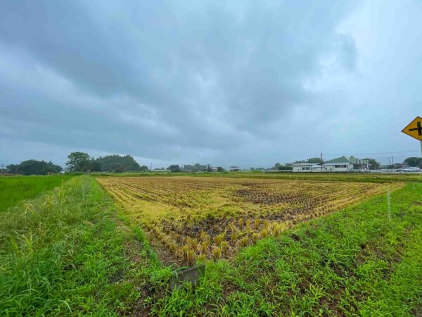 【令和7年新米】sinji登山部米　玄米30kg - 画像 (4)